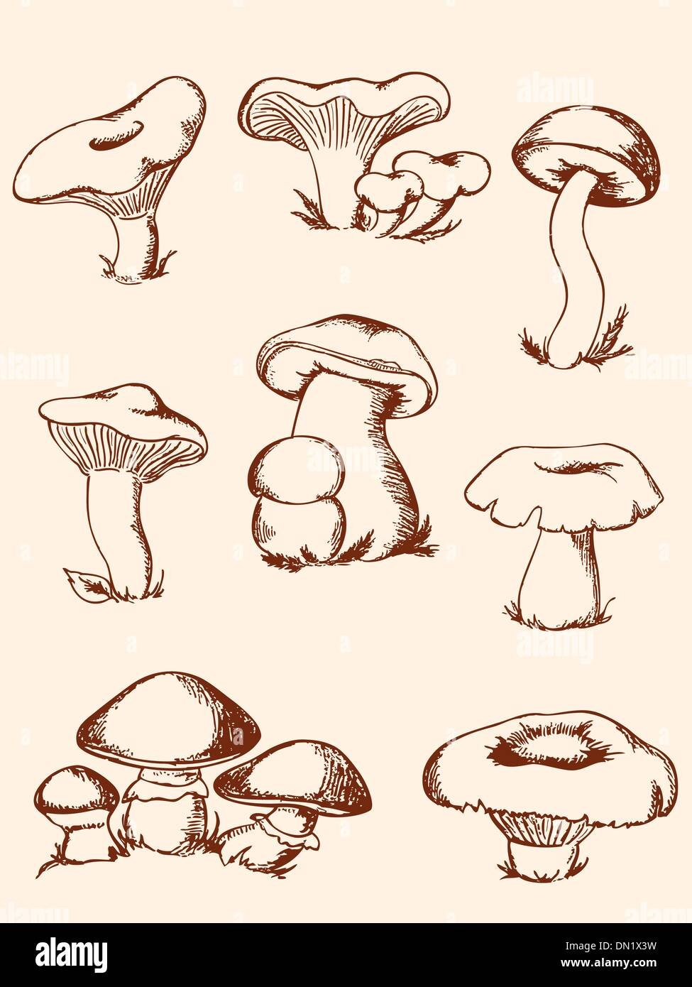 Мухомор раскраска