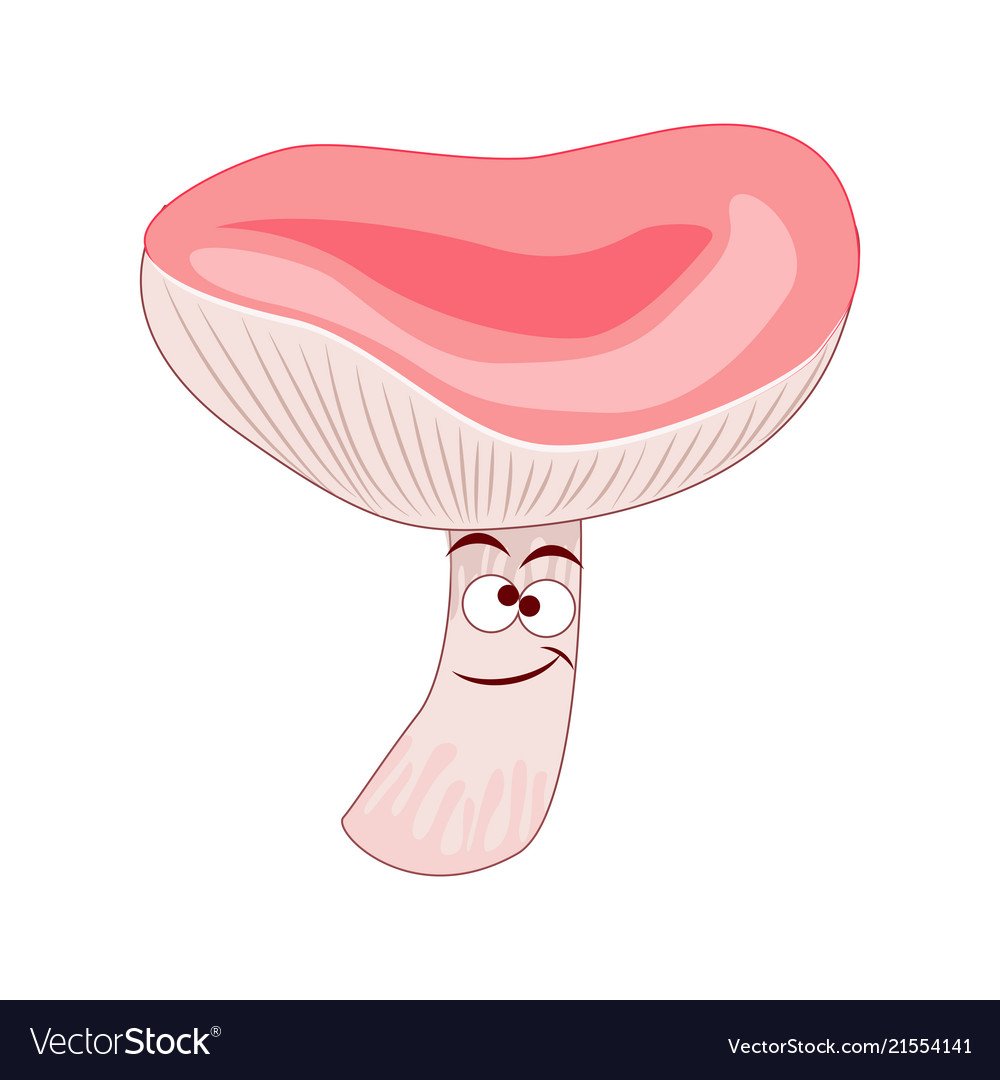 Съедобные грибы опята раскраска