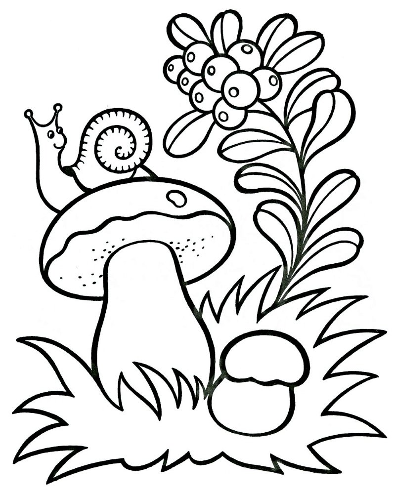 Вырубной плакат грибы