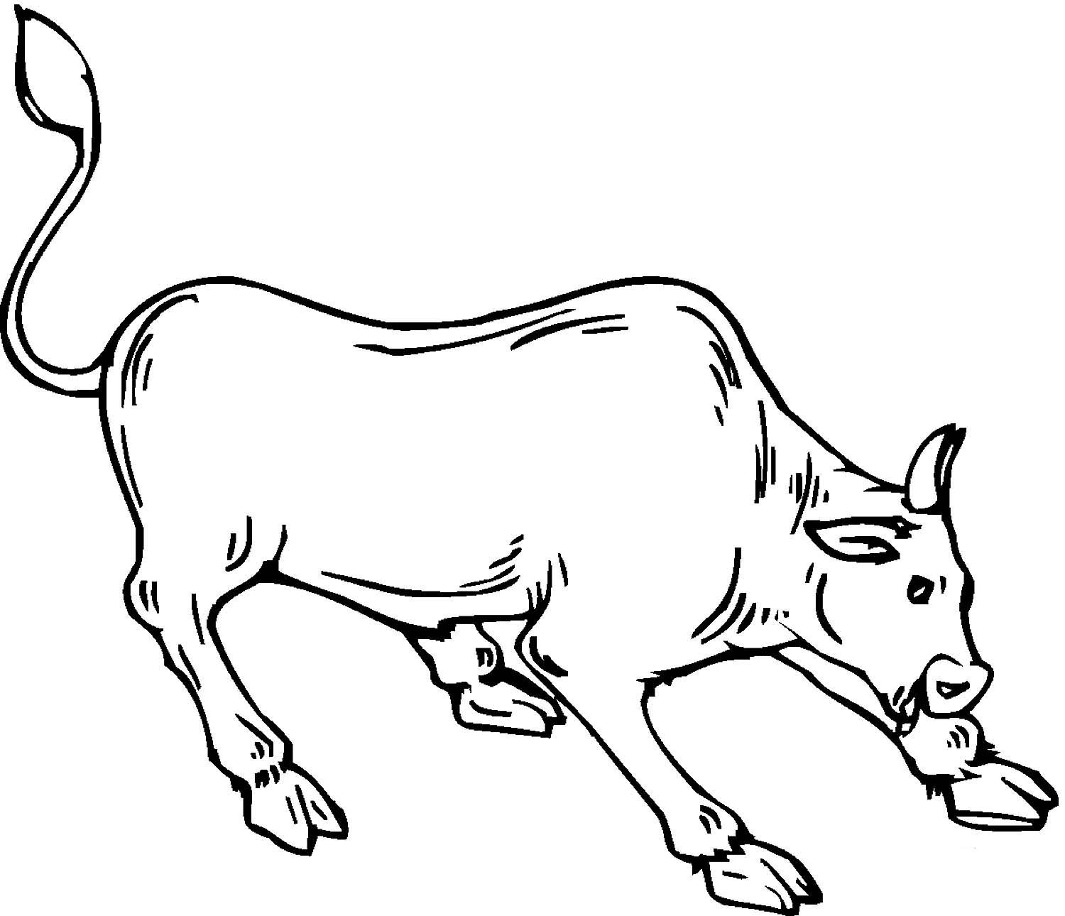 Раскраски быков. Раскраска корова. Бык раскраска. Бык раскраска для детей. Корова раскраска для детей.