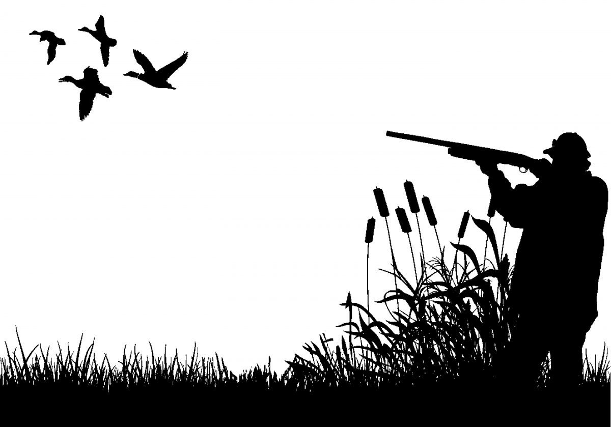 Охотник карандашом для детей