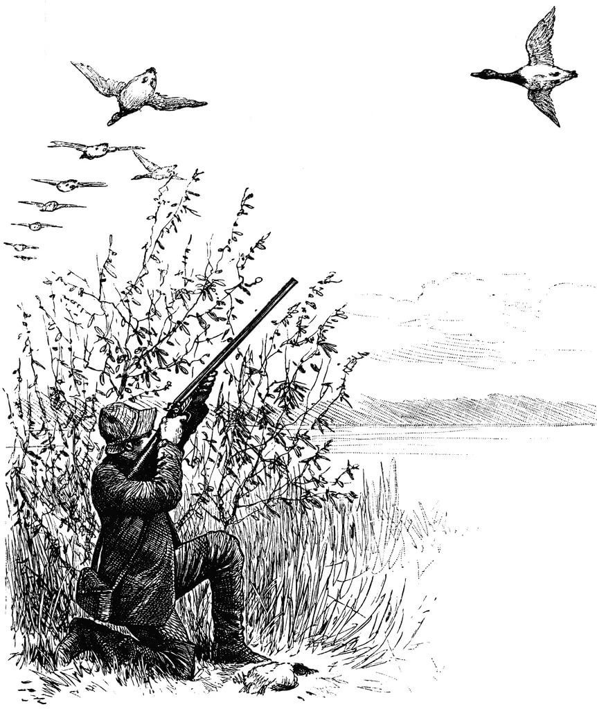 Пастух раскраска