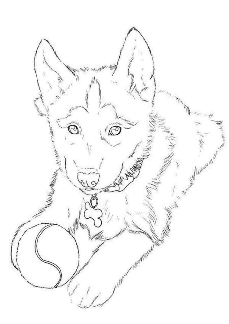 Щенок. Раскраска