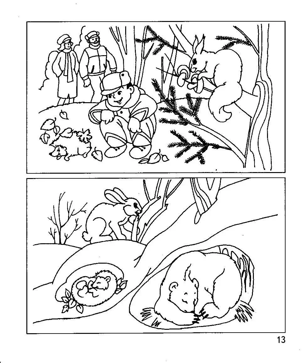 Животные России. Раскраска