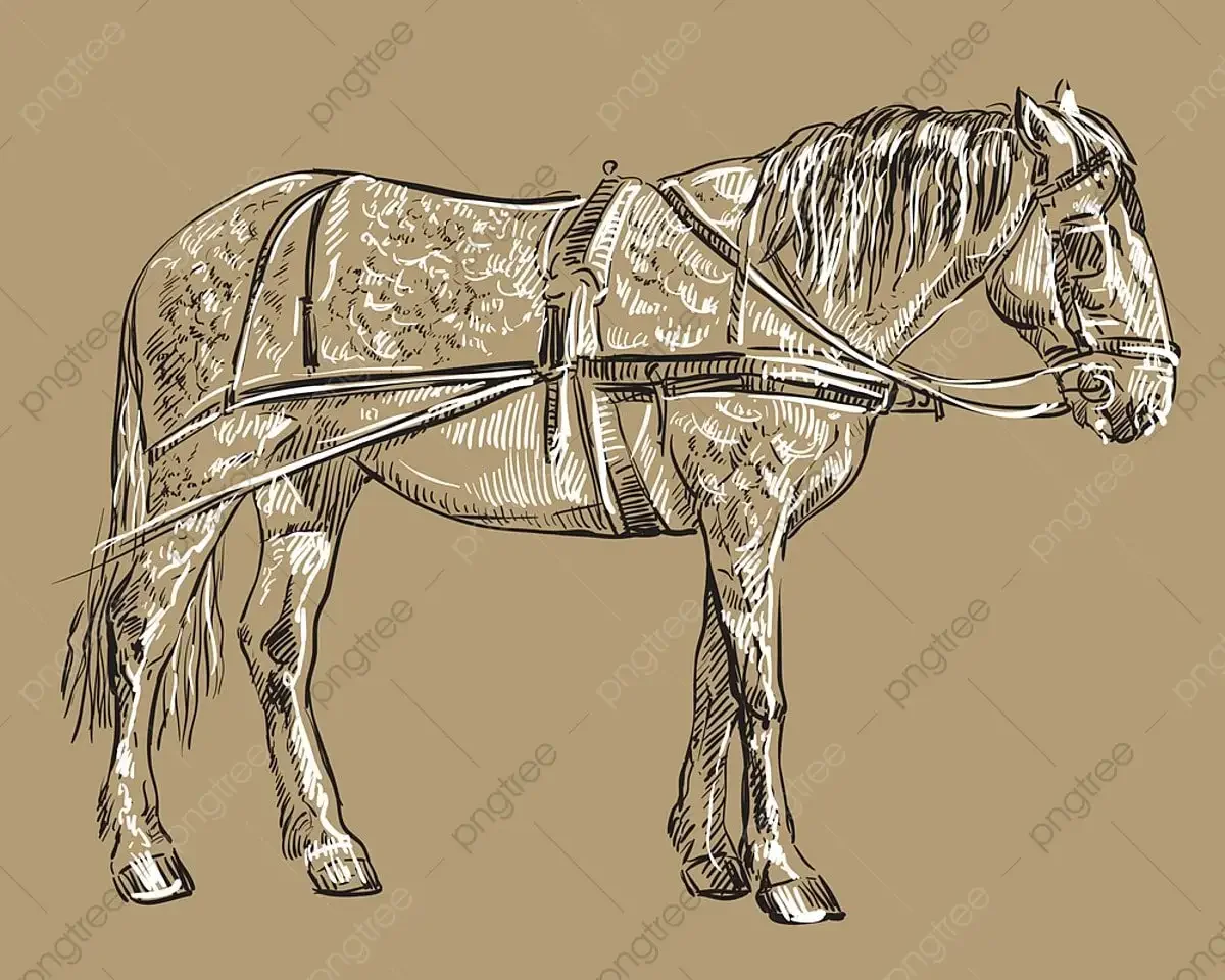 Ярмо для лошади