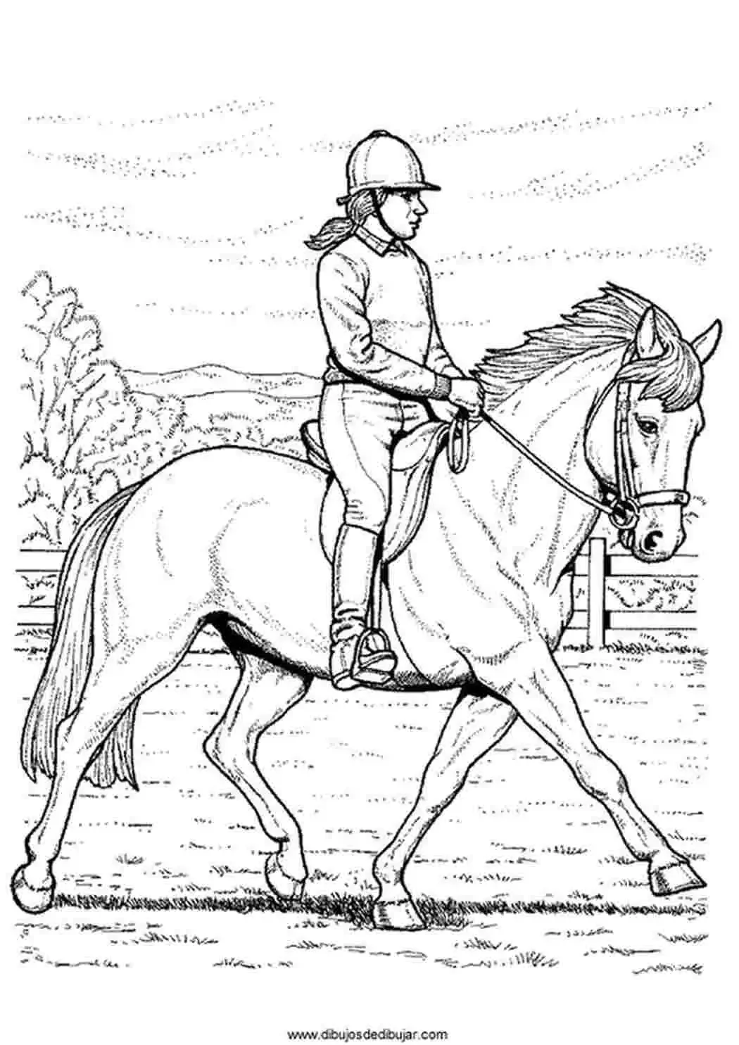 Раскраска всадник на лошади