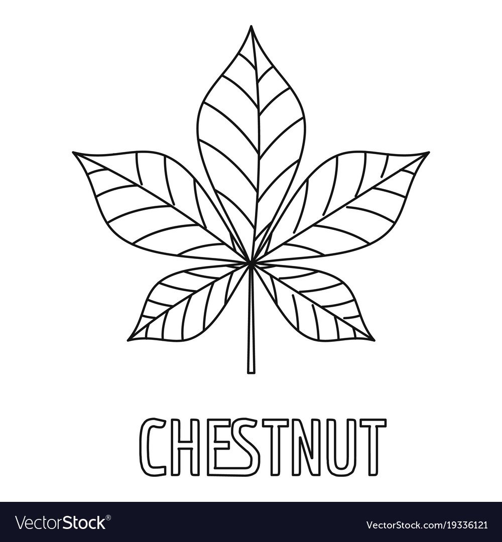 Каштан обыкновенный листья