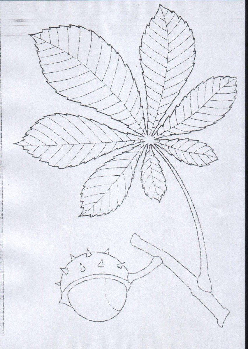 Каштан стилизация