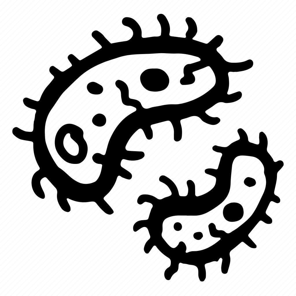 Бациллы рисунок