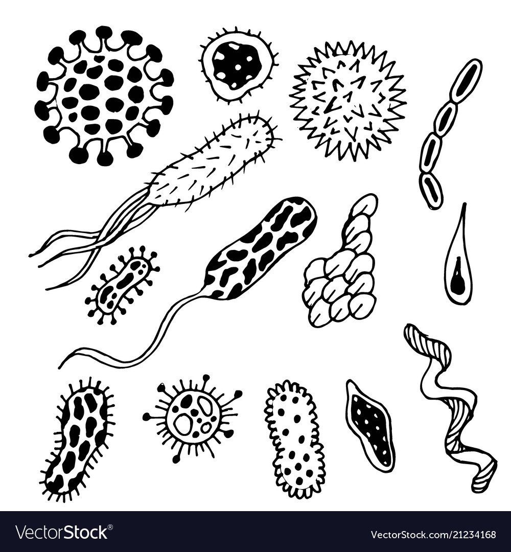 Бактерии раскраска