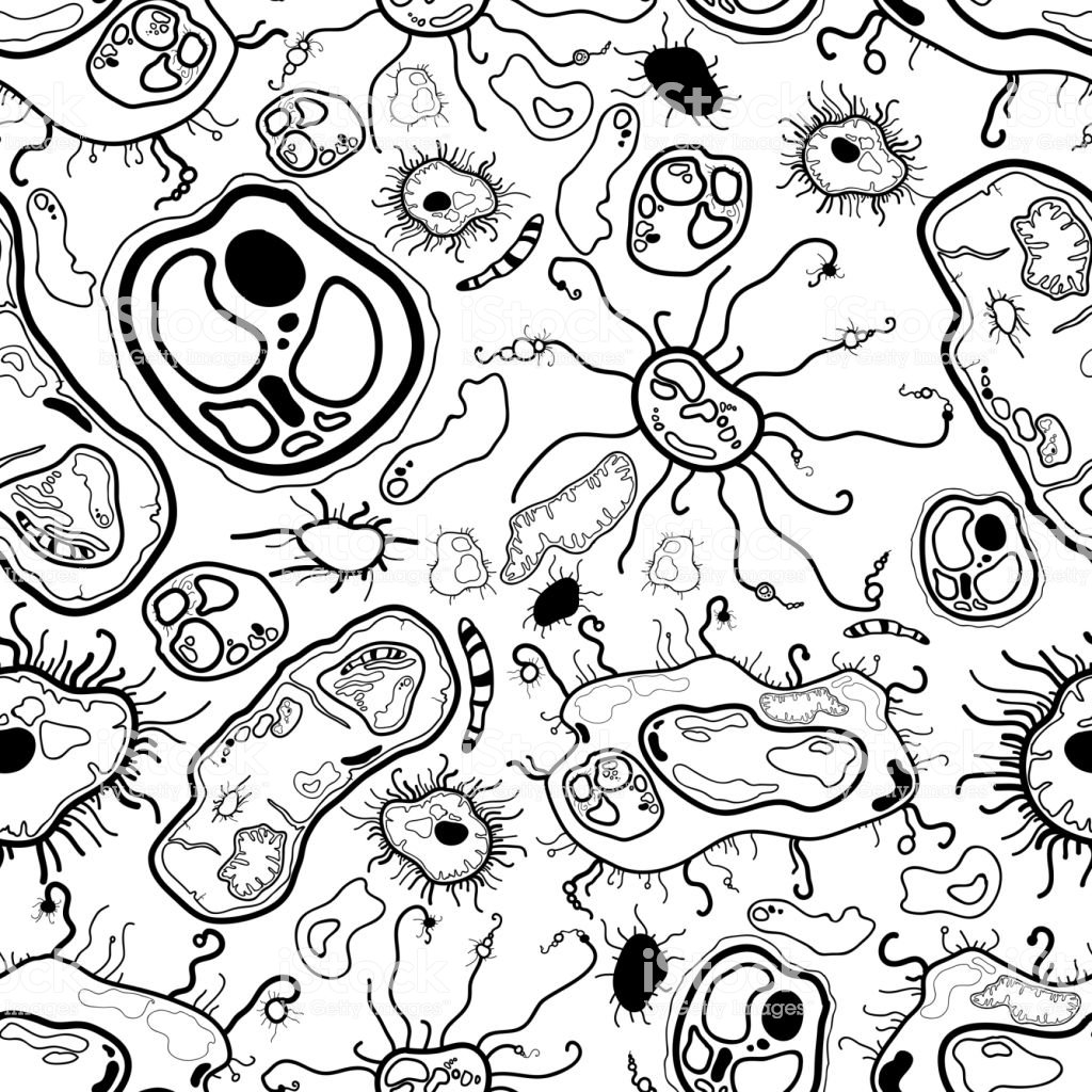 Микробы раскраска для детей