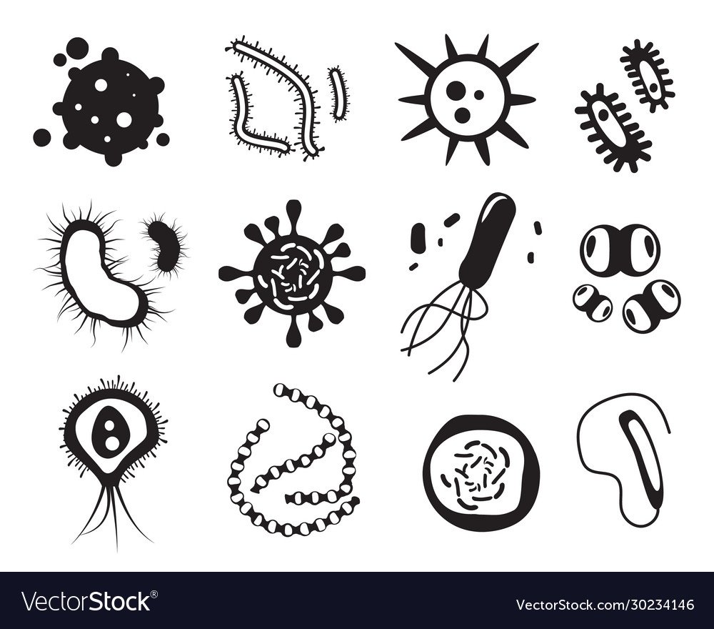 Микроорганизмы иконка