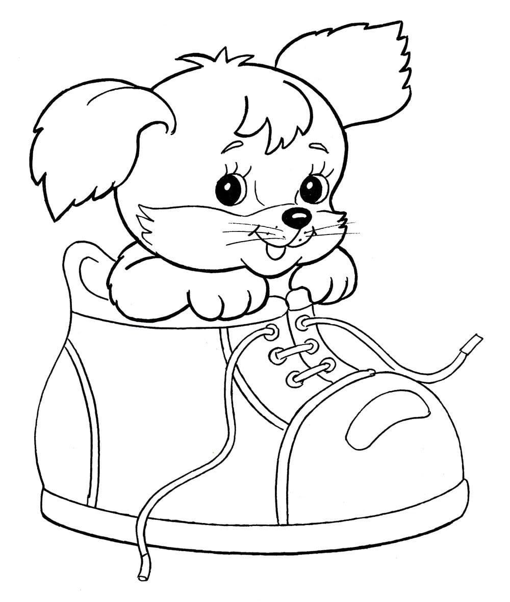 Цвергшнауцер контур