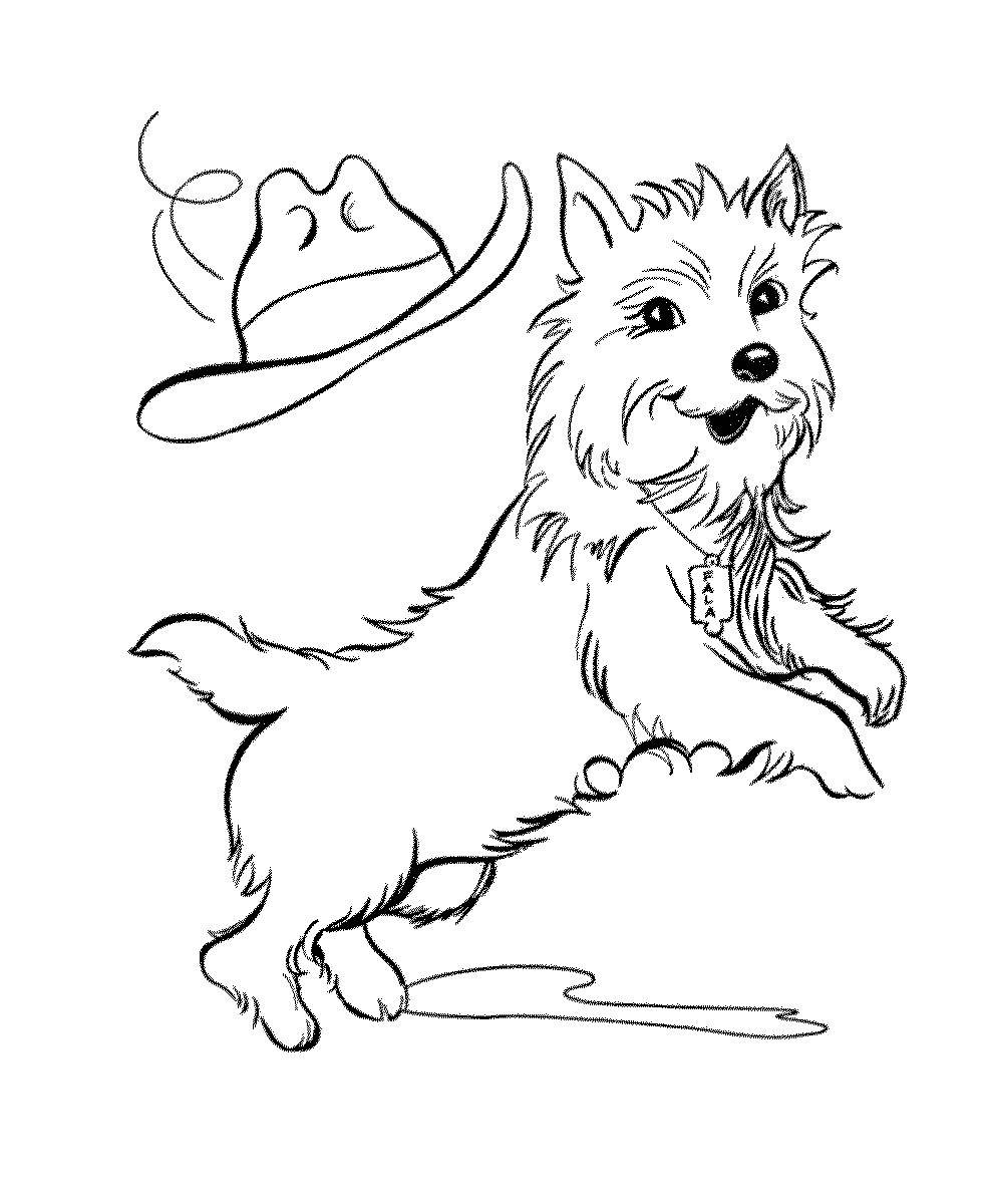 Тотошка логотип