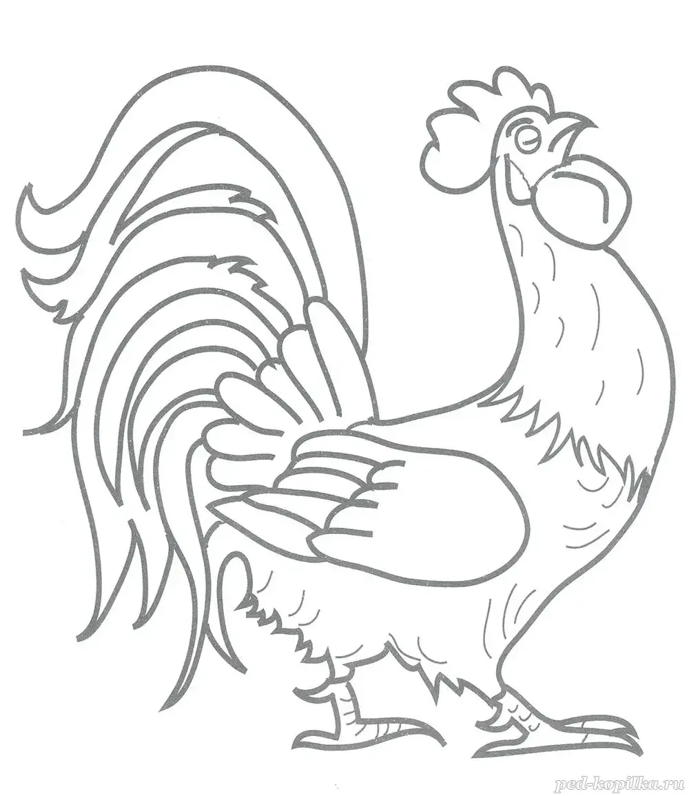 Петушок Курочка раскраска для малышей