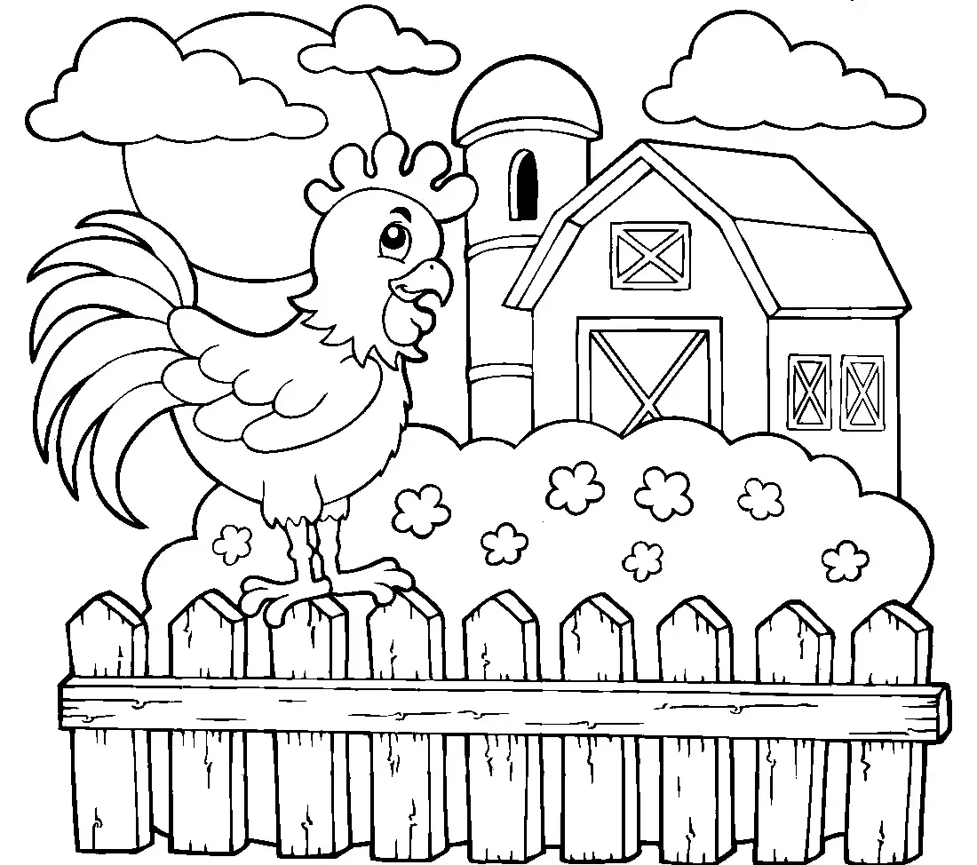 Петух раскраска