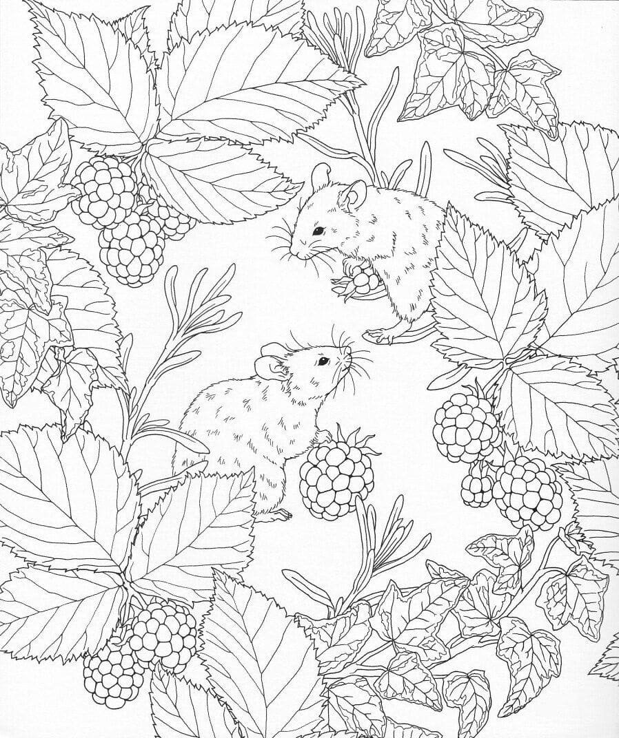 Раскраски природа сложные