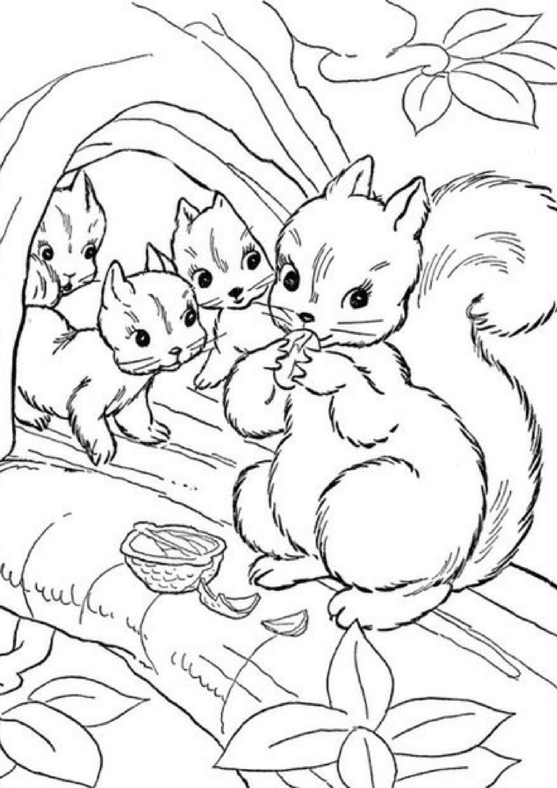 Раскраска осенняя белка