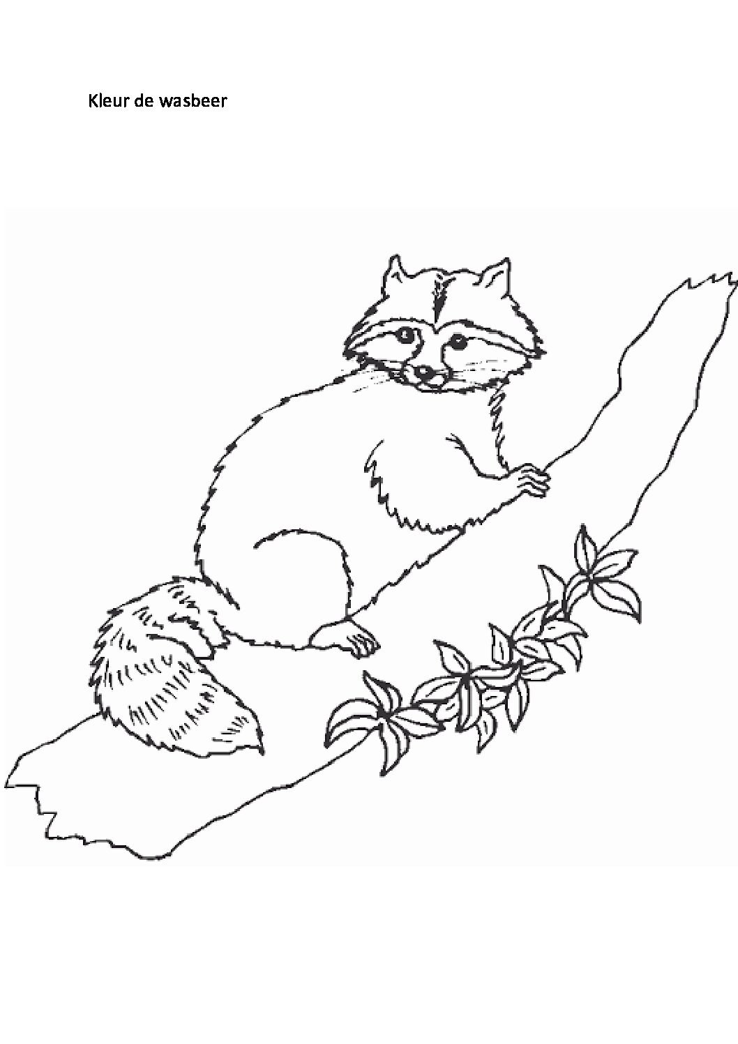 Лисичка раскраска для детей 4-5 лет