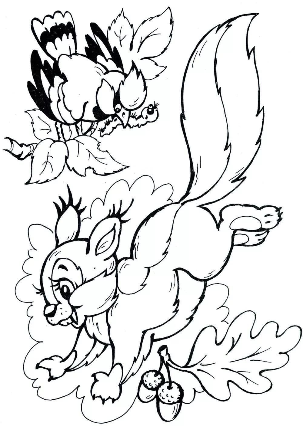 Раскраска белка на ветке для детей