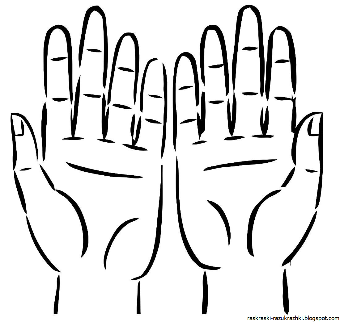 Ладонь схематично