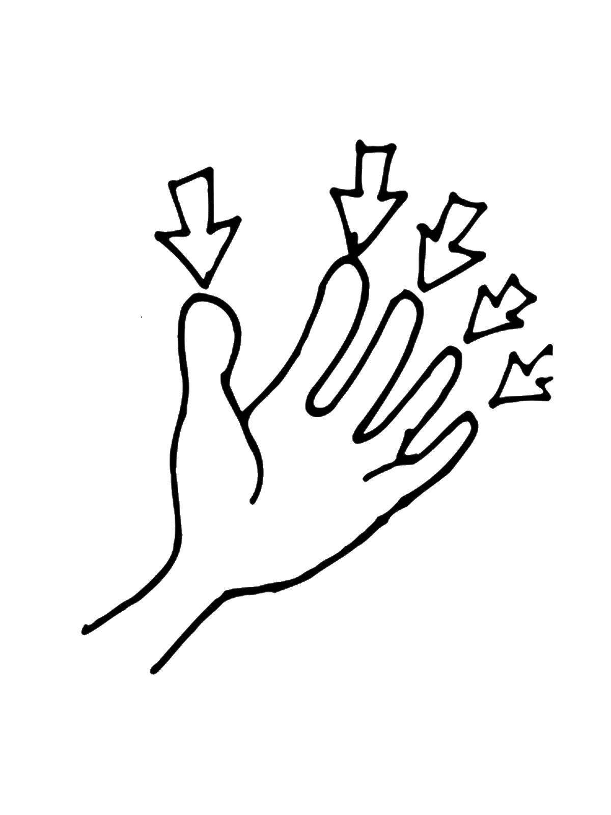 Пальцы раскраска