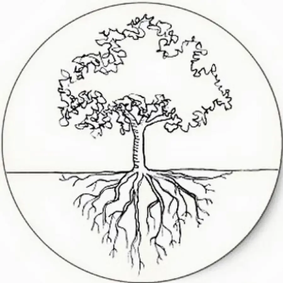 Крокусы раскраска для детей