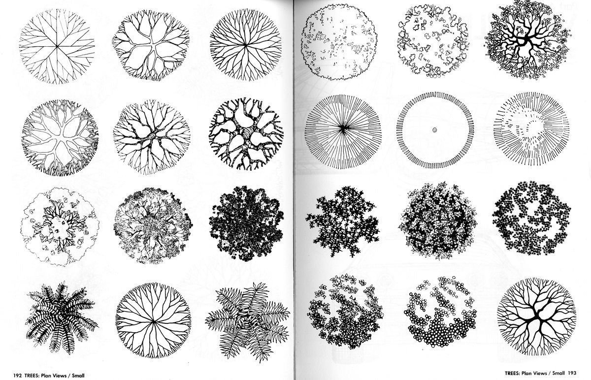 Стаффаж антураж деревья вид сверху