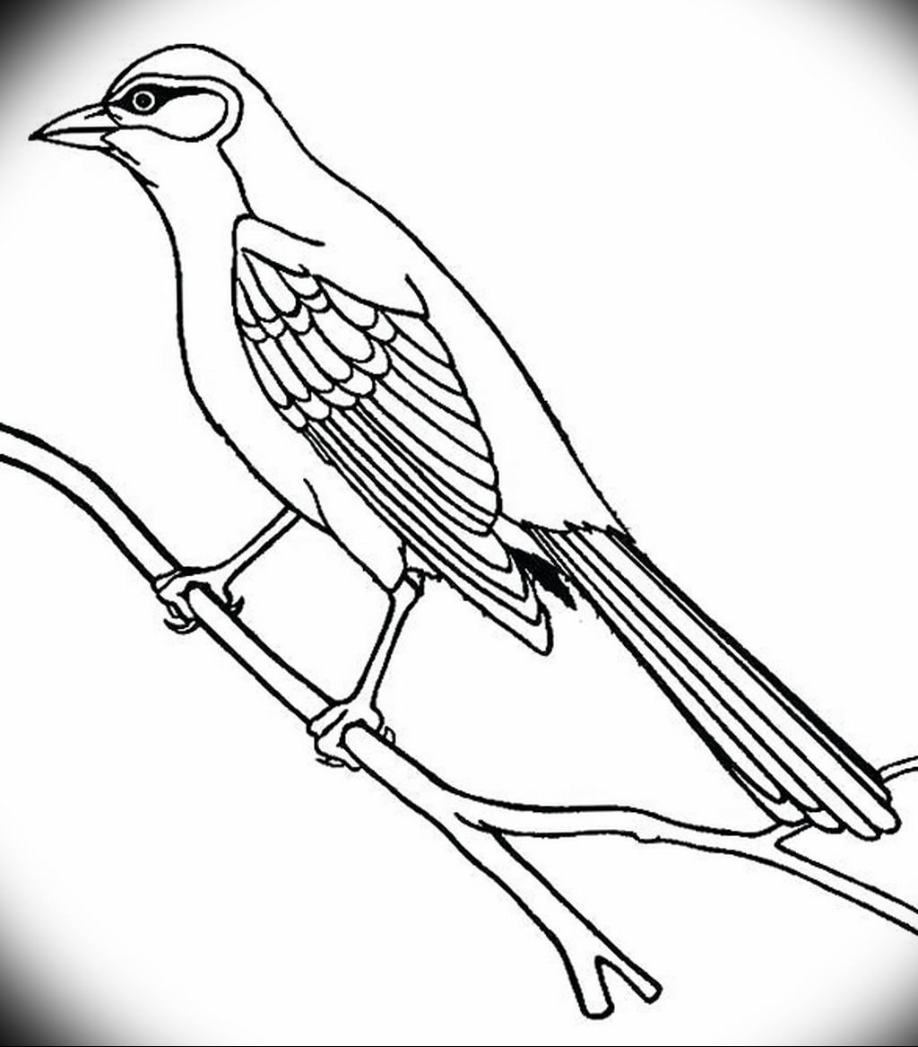 Раскраска Соловей птица