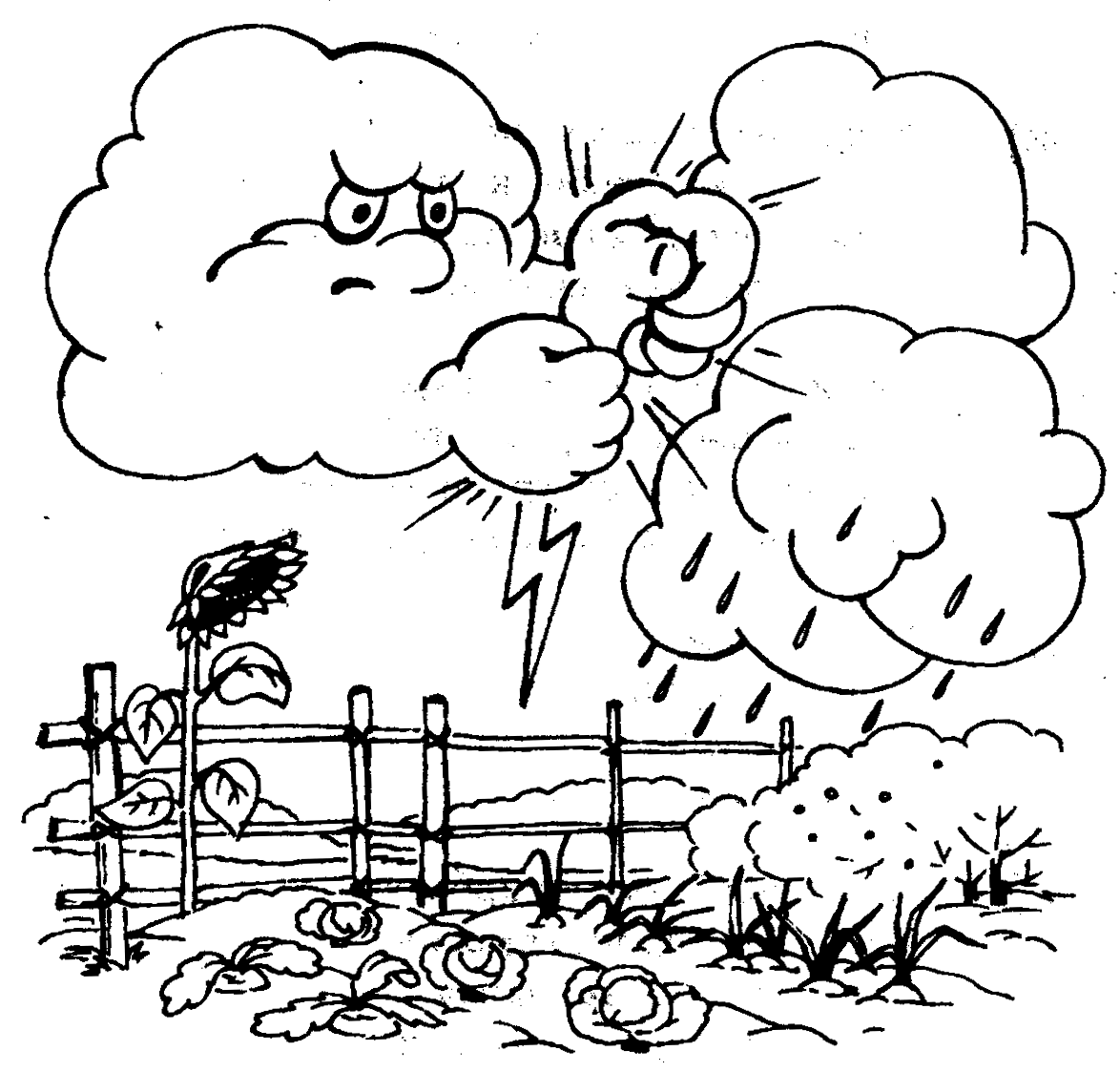 Графическое изображение ветра