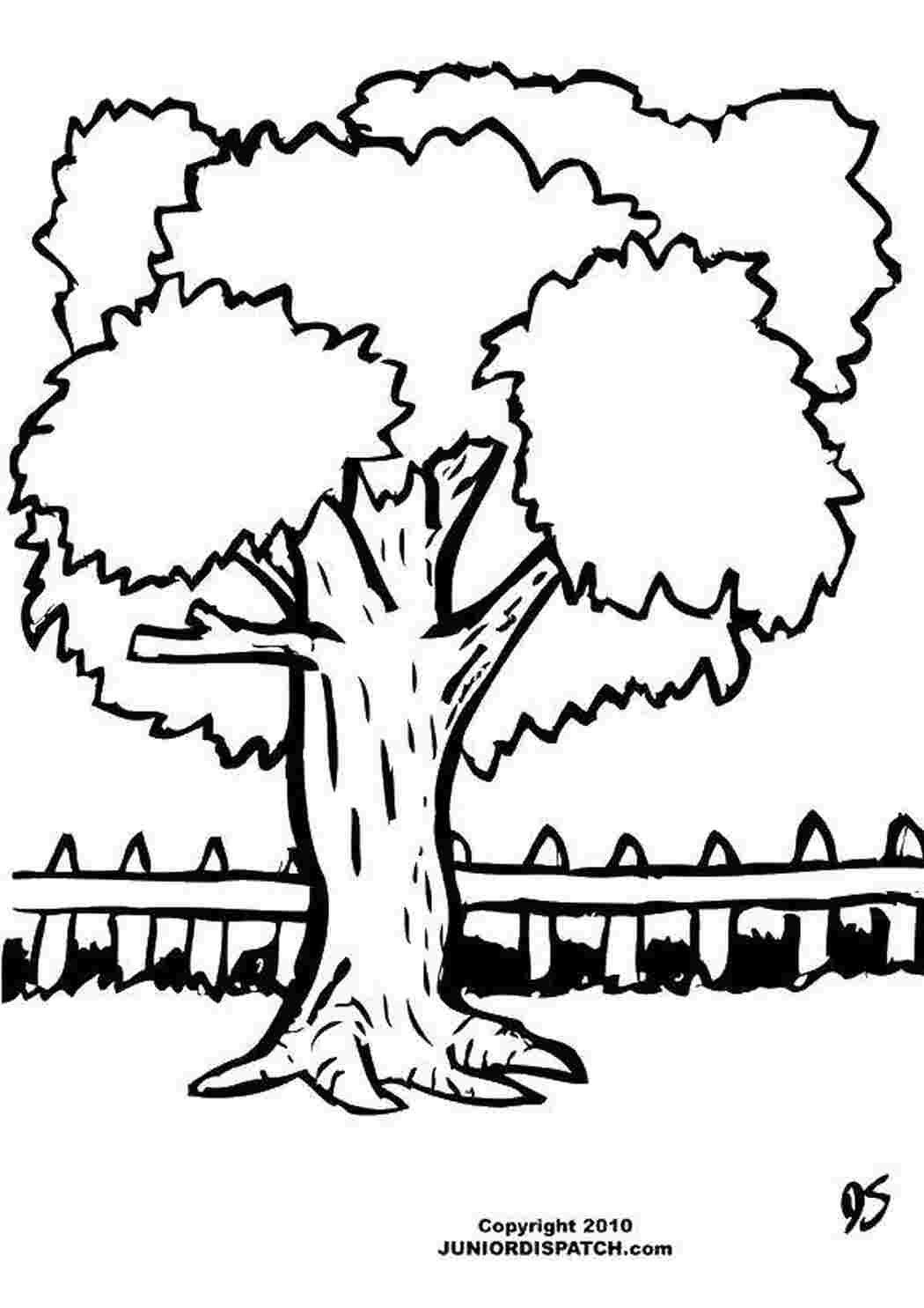 Лес раскраска для детей