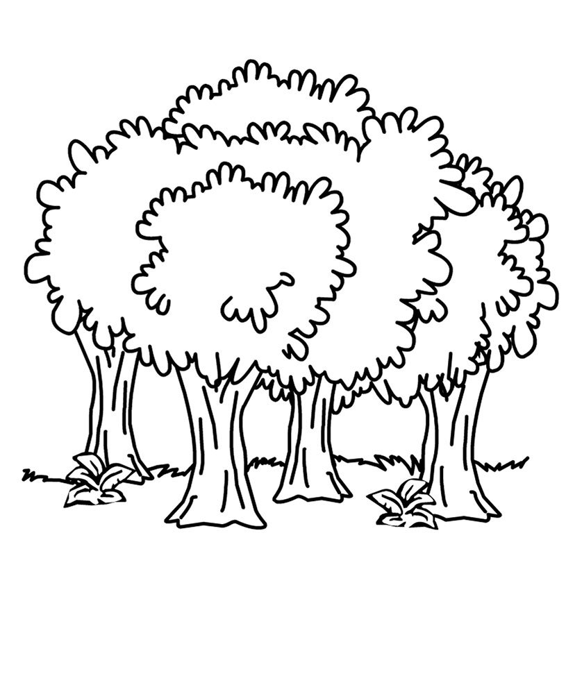 Раскраска природа