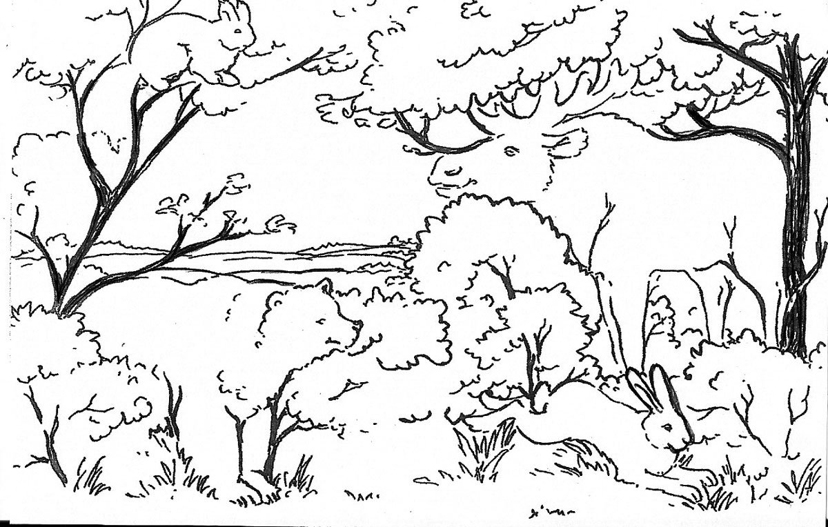Дерево картинка для детей раскраска