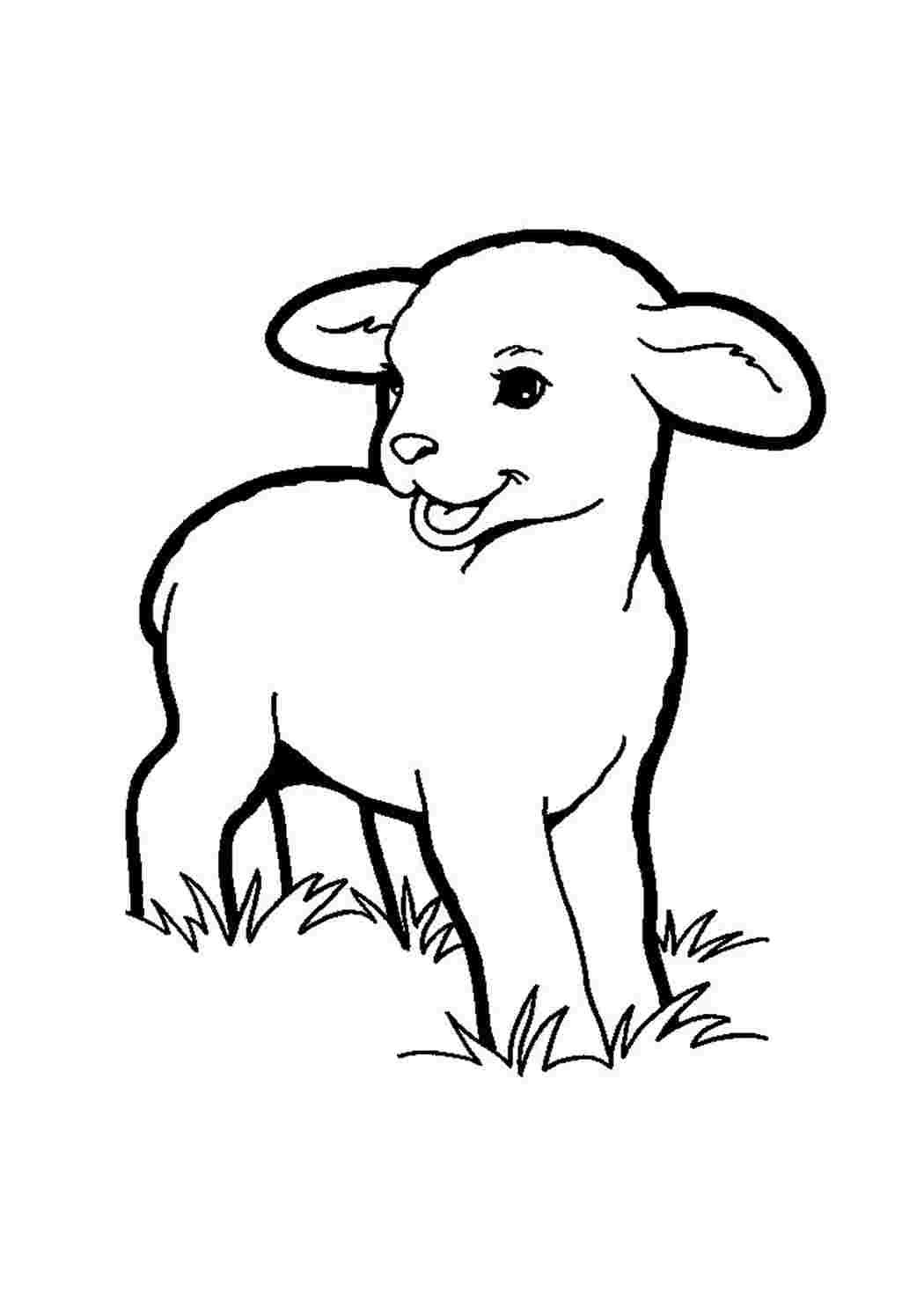 Домашние животные рисунки