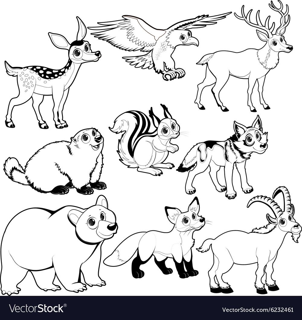 Дикие и домашние животные черно-белые