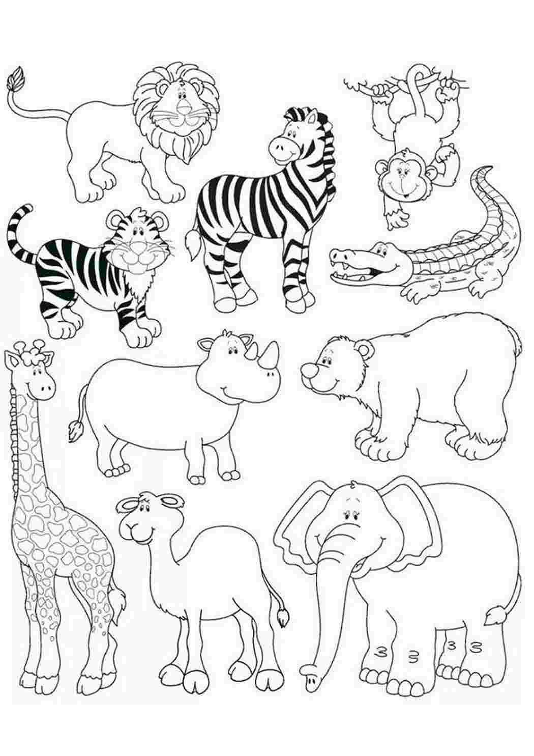 Животные Африки раскраска для детей