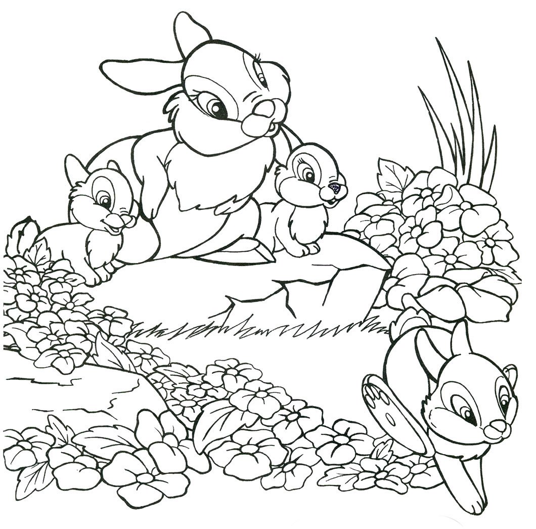 Бобры раскраска