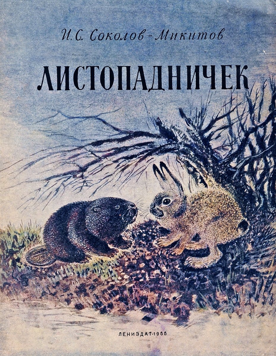 Храбрый заяц раскраска