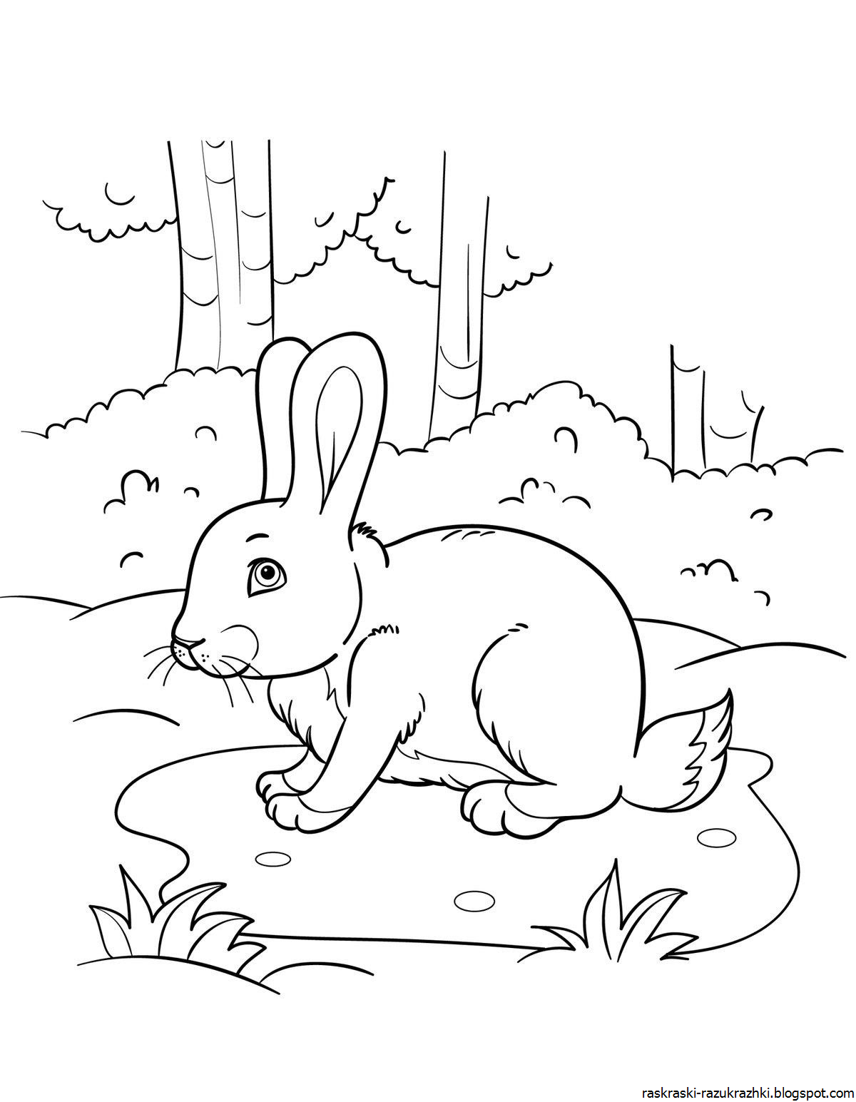 Иван Сергеевич Соколов-Микитов