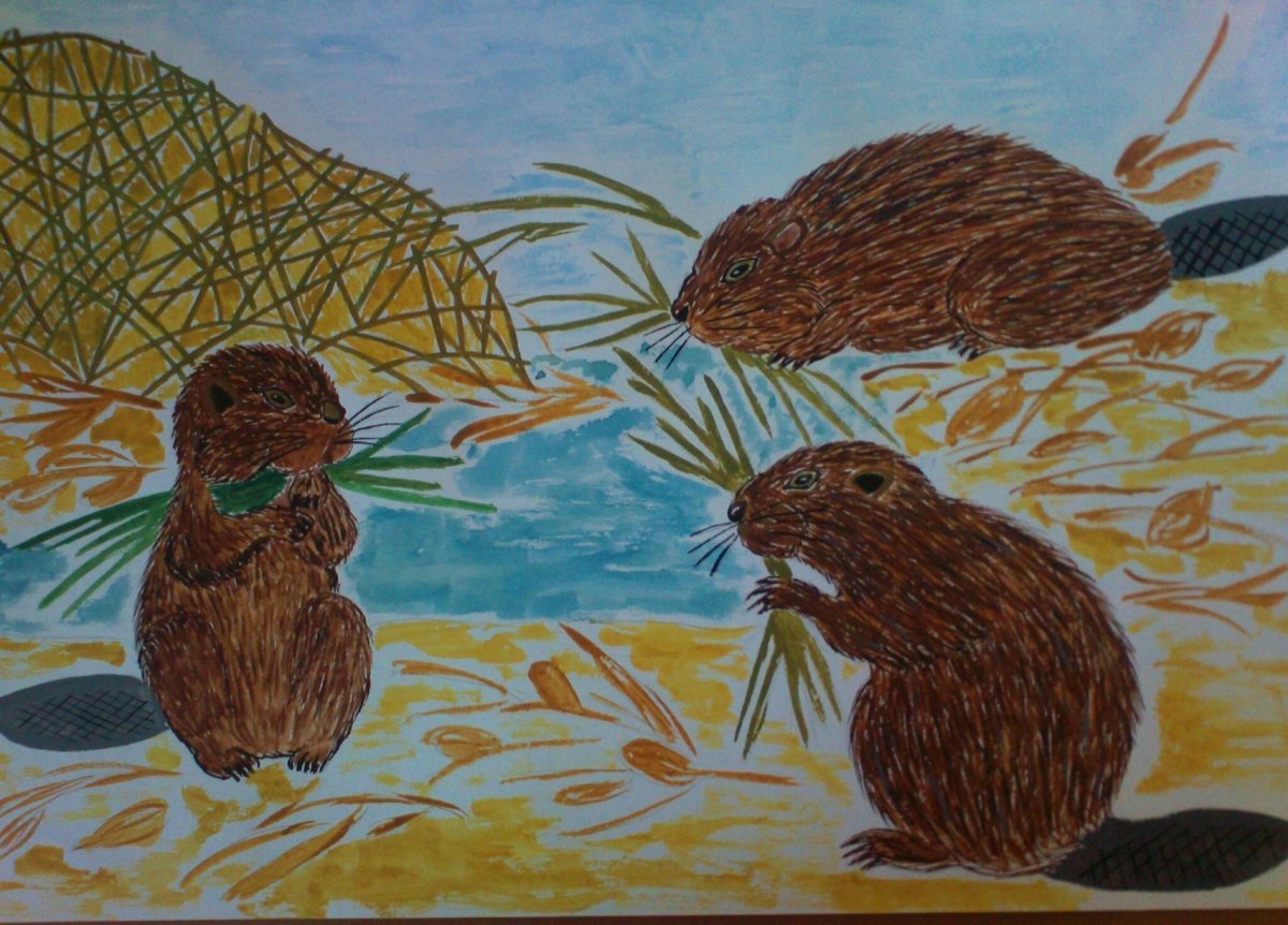 Соколов Микитов год в лесу иллюстрации