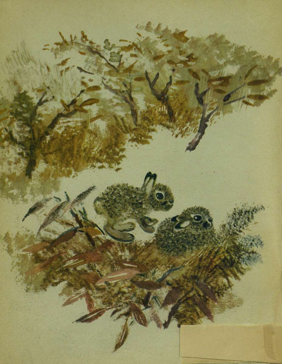 Листопадничек рисунок