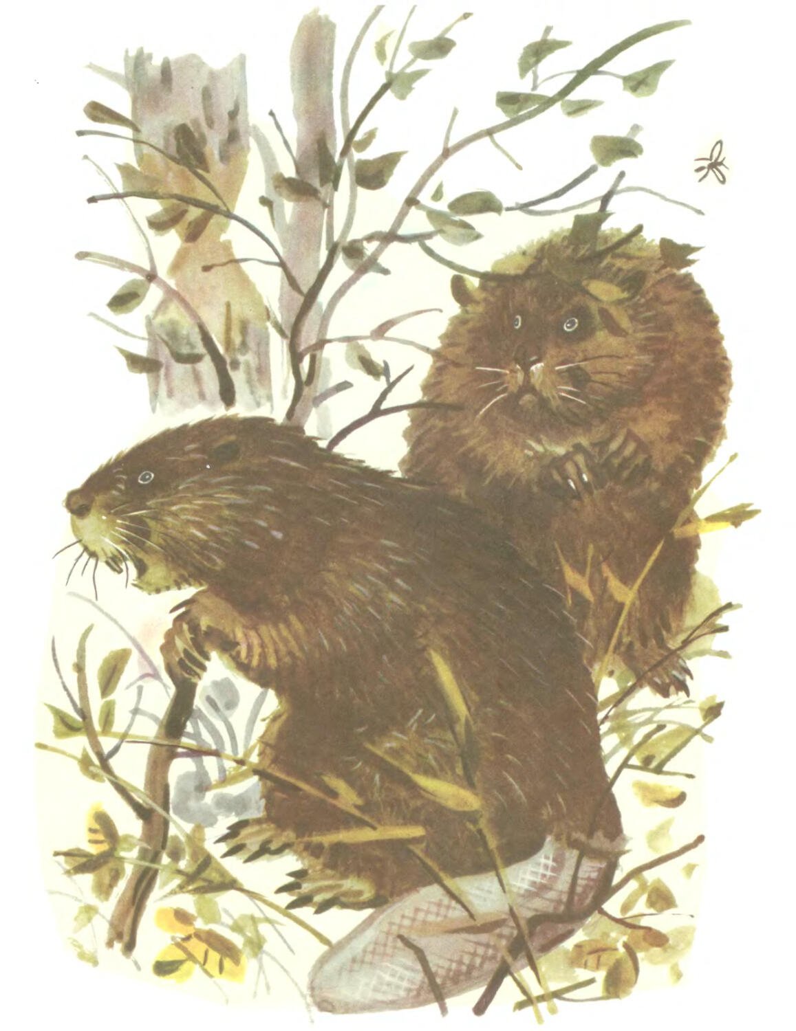 Иллюстрация к Листопадничек 3 класс