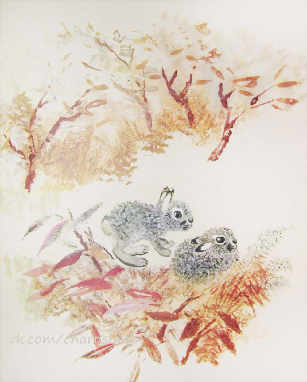 Художница Галина Егоренкова серая шейка