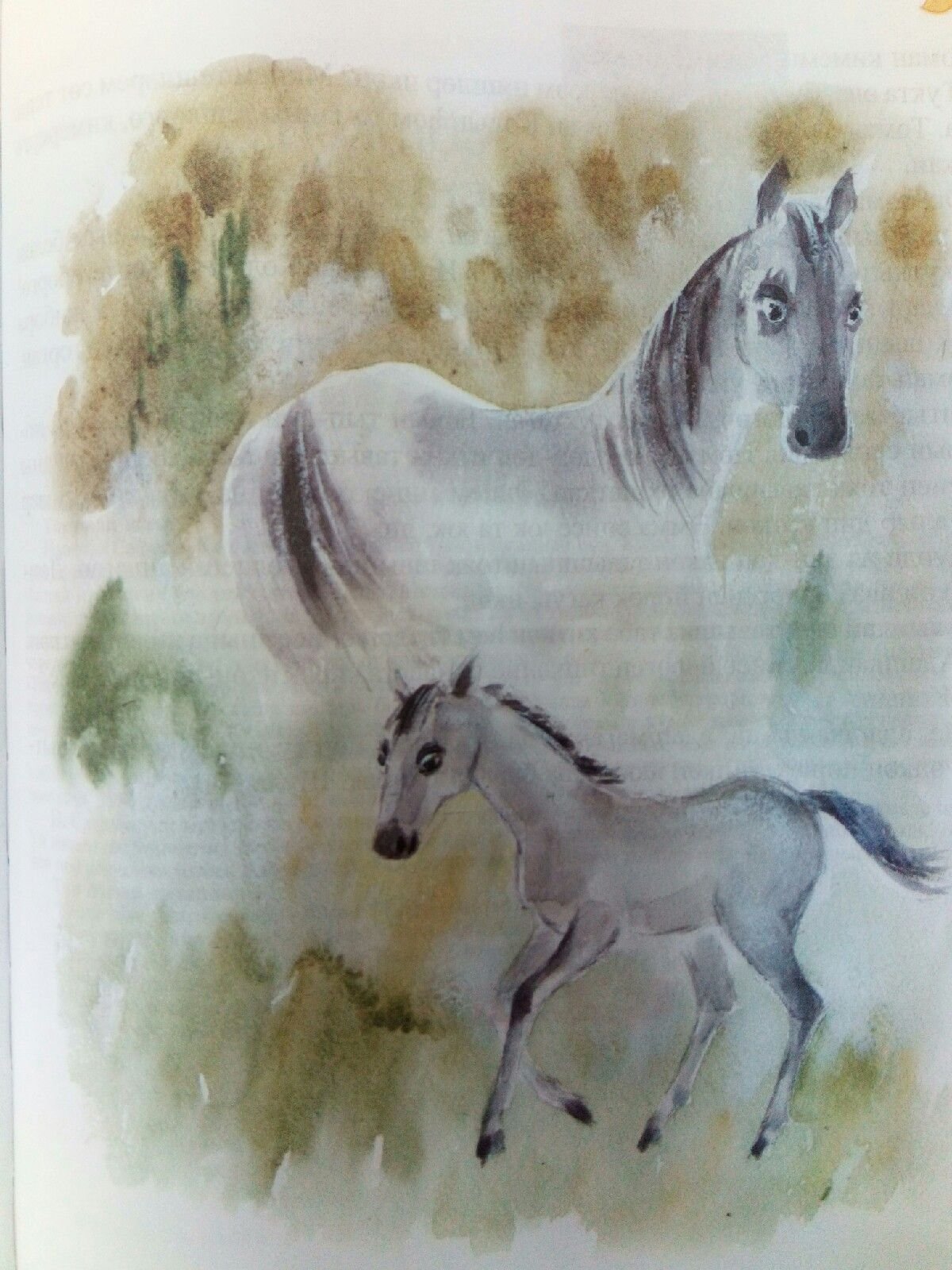 Галимжан Ибрагимов Алмачуар рисунок