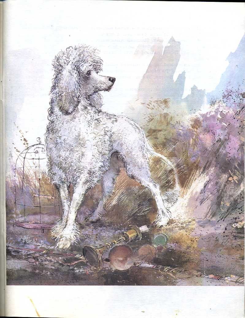 Скачки на графике