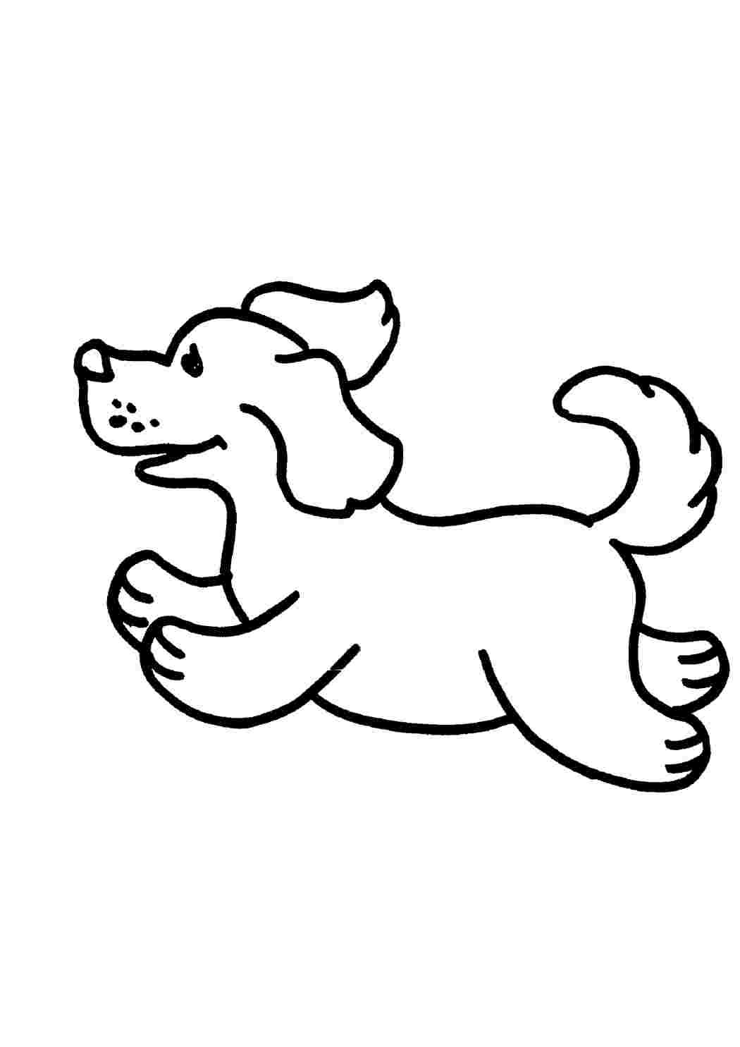 Раскраска "собаки"