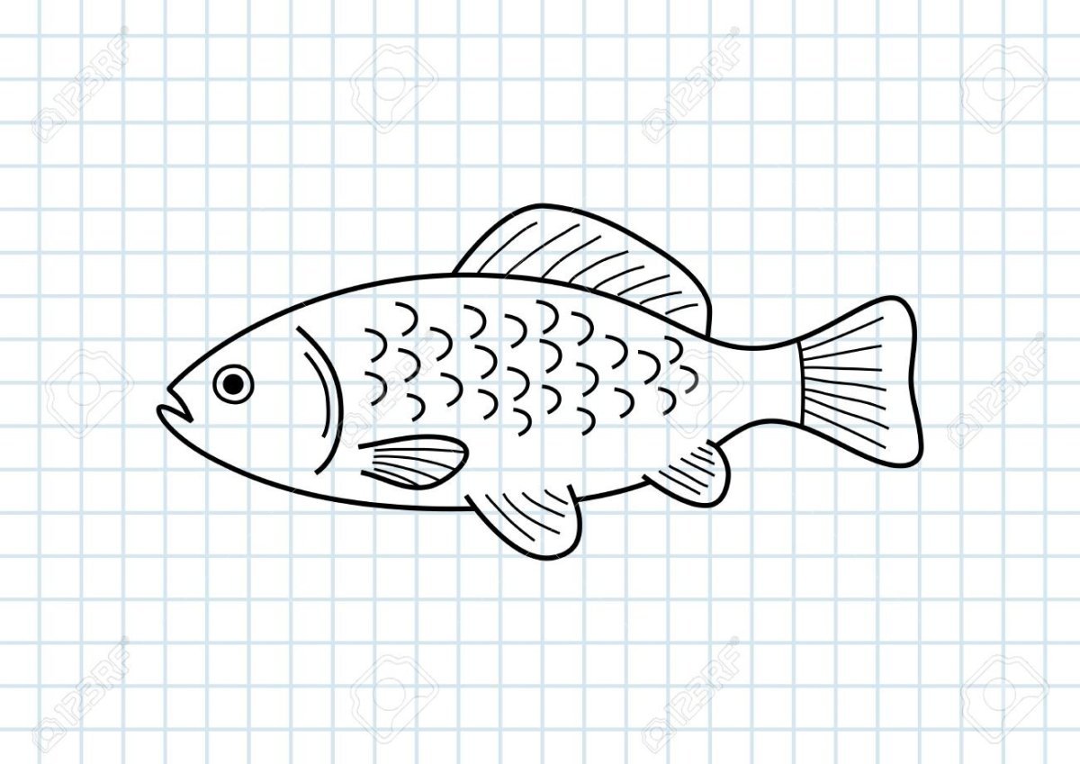 Нарисовать карася