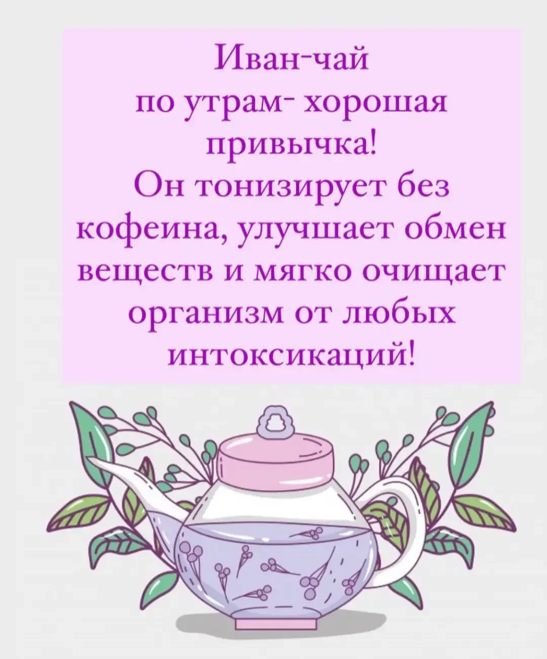 Иван чай вектор