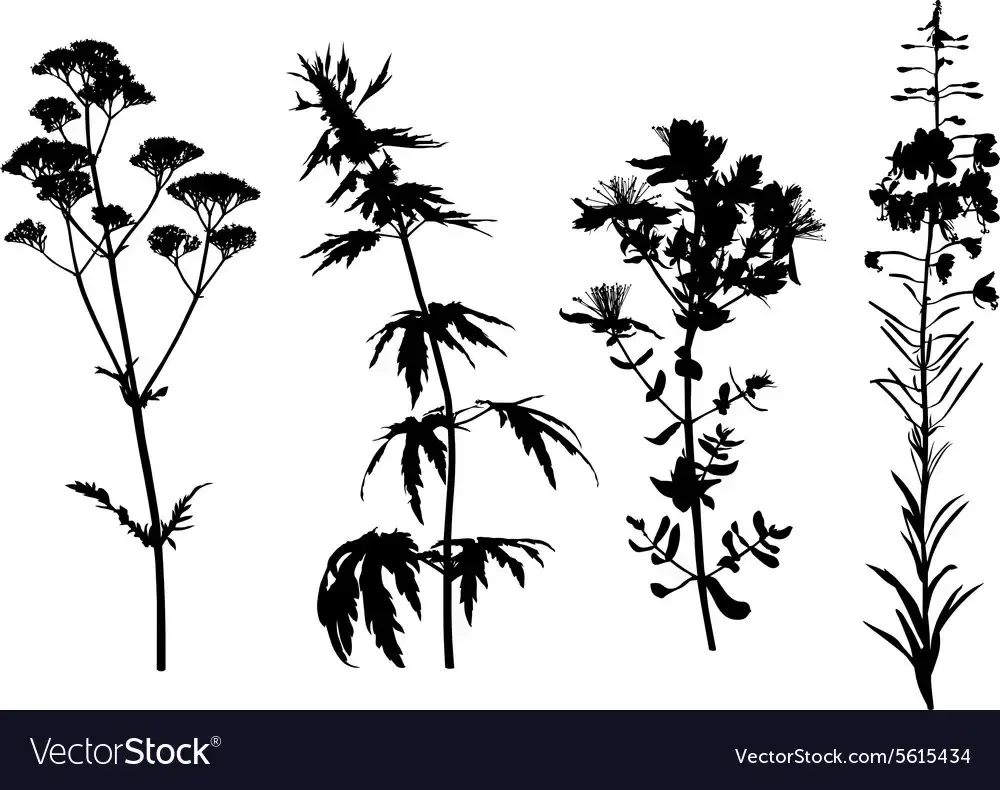 Кружка с чаем набросок