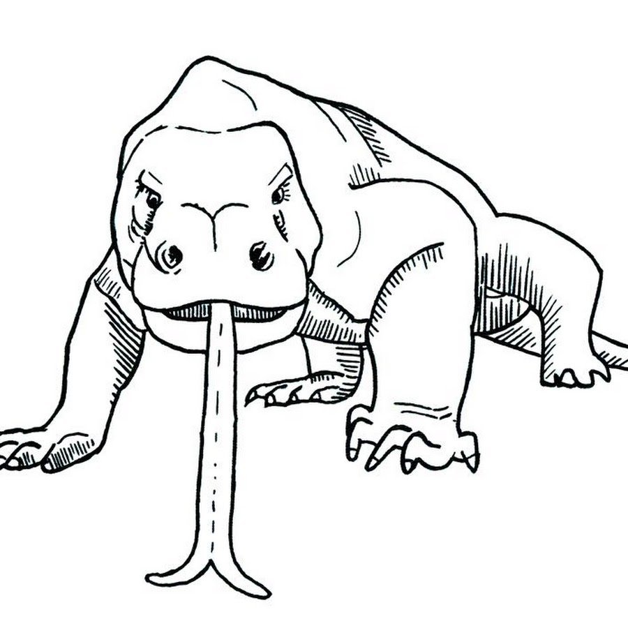 Комодский Варан раскраска